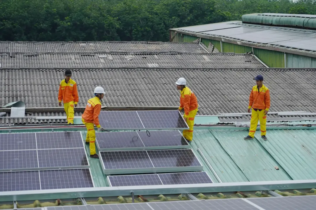 Roof Size and Sunlight
